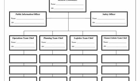 fill in organizational chart template