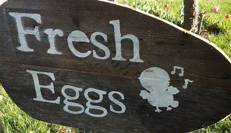 35 best Eggs for sale signs images on Pinterest | Eggs, Egg and Sale signs