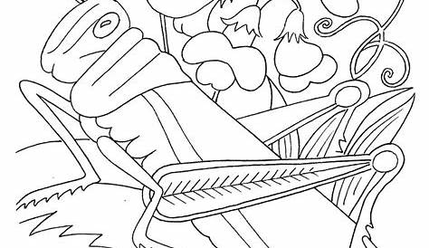Printable Bug Coloring Pages
