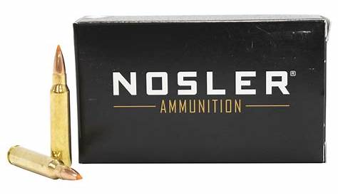 Nosler 223 Rem 55 gr Ballistic Tip Varmint Edition 20/Box | Sportsman's