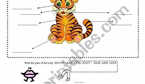 LABEL THE PARTS OF THE BODY - ESL worksheet by candemourino