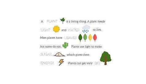 FREE Plants Worksheets for Preschool (5 pages) by Cookies and Racecars