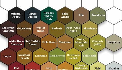 Pollen identification color guide : r/Beekeeping