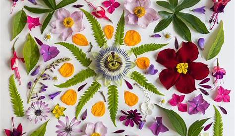 online floral design tutorial