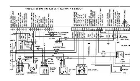 3176 Cat 40 Pin Ecm Wiring Diagram | Wiring Diagram