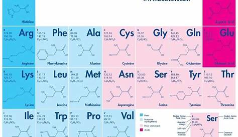 amino acid chart - Google Search | A exam images | Chemistry notes