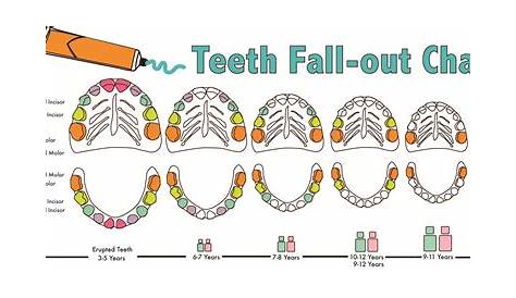 chart for losing teeth