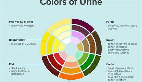 dog urine color chart - Google Search | Color of urine, Urinal, Pee color