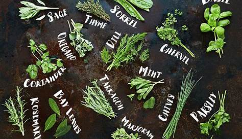 How to use herbs - Jamie Oliver | Features