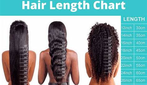 hair length chart black male