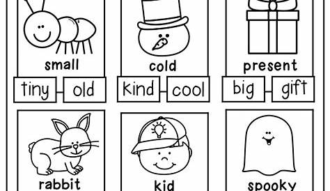 Grammar Worksheet Packet - Compound Words, Contractions, Synonyms and