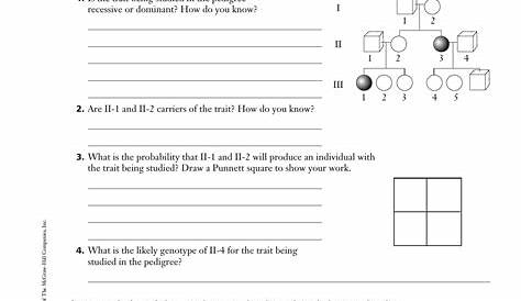 Beyond The Worksheet Answers | Printable Worksheets and Activities for
