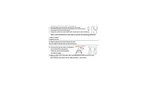 Genes-and-Chromosomes-worksheet 1 .docx - Name: Applied Science 10 Date