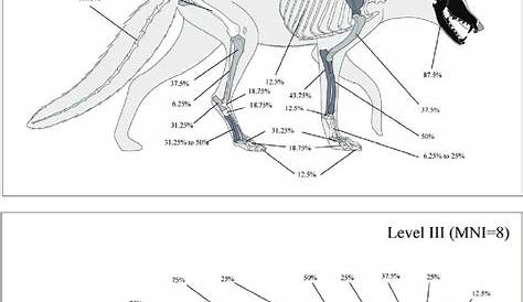 Percentage survival of Arctic fox bones for Level II and Level III