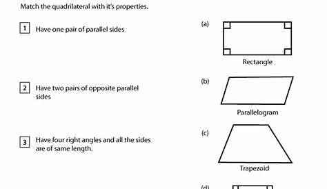 geometry quadrilateral worksheet