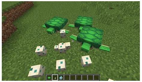 what do minecraft turtles eat