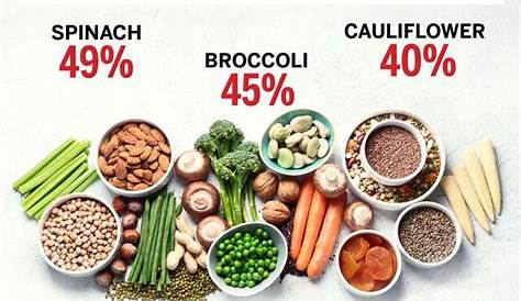 protein content of vegetables chart