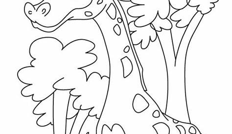 fun printable coloring pages