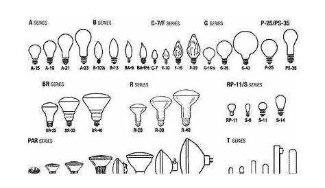 Good to know | Light bulb bases, Bulb, Light bulb