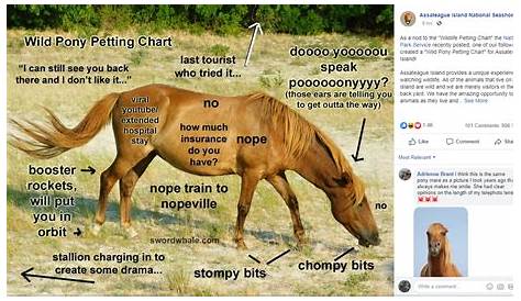 wild horse island breeding chart