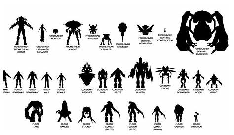 Halo Species Size Chart : r/halo