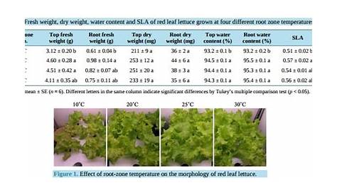 What is the ideal nutrient solution temperature in hydroponics