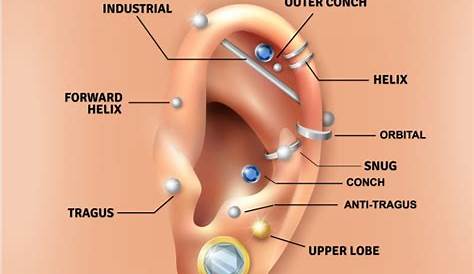 The Different Types of Ear Piercing and Their Names – Dat Piercing