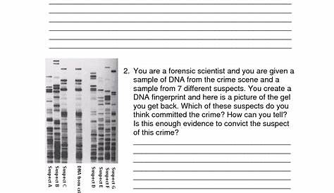Building Dna Gizmo Answer Key Pdf / What are the two dna components