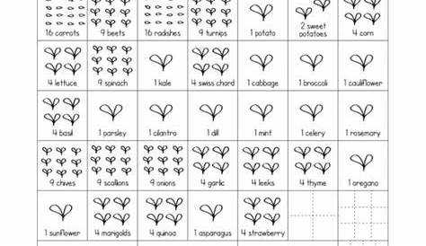square foot gardening visual cheat sheet of how many plants per square