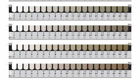 FREE 16+ Sample Teeth Chart Templates in PDF | MS Word