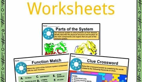 immune system and disease worksheets answer key