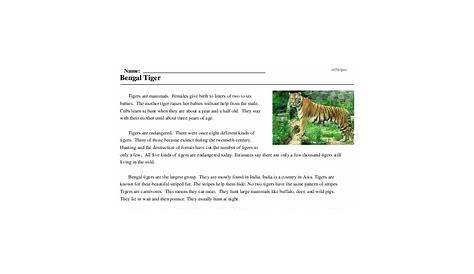 e reading worksheet tigers