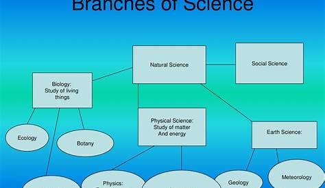 science branches Related Questions Answer in Hindi - विज्ञान की शाखाएं