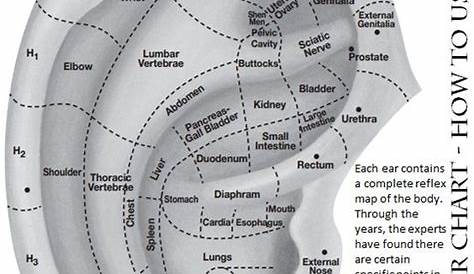 17 best images about Auricular (ear) acupuncture on Pinterest