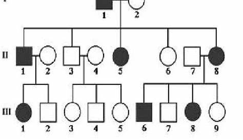 What type of inheritance is shown in the pedigree?a. sex linked
