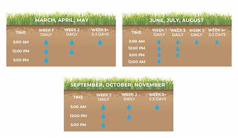 watering guidelines for new sod