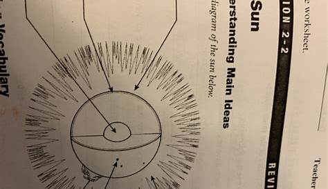 The Sun: A Diagram Review Sheet Worksheets | 99Worksheets