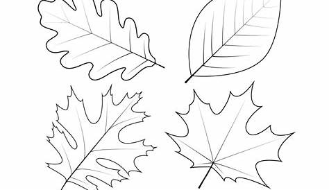 20+ Free Printable Leaf Coloring Pages - EverFreeColoring.com