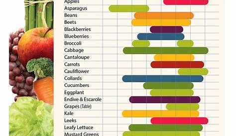 when to harvest vegetables chart