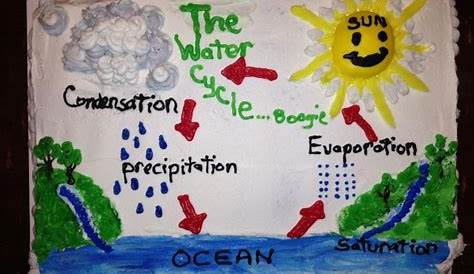 17 Best images about 4th grade on Pinterest | Water cycle craft