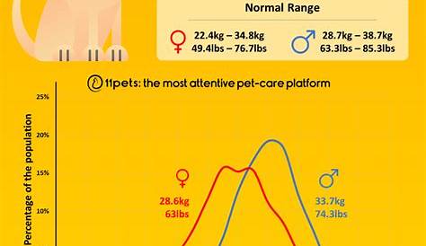 Lab Puppy Growth Chart Height - Puppy And Pets