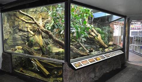 reptile tanks | Terrarium For Iguana | Reptile Tanks For Sale - reptile