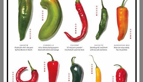 hot pepper chart with pictures