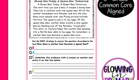 race writing strategy worksheets