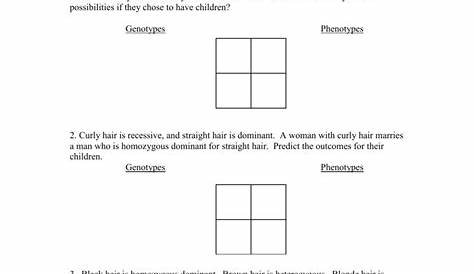punnett squares practice worksheets