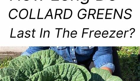 collard greens cold tolerance