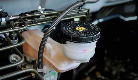 2009 Toyota Corolla Power Steering Fluid Reservoir - Latest Cars