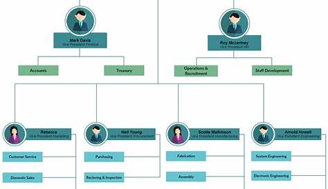 what does an organizational chart show employees