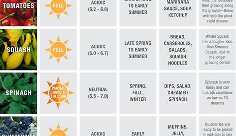 vegetable sun requirements chart