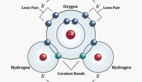 Diagram Of Water Molecule